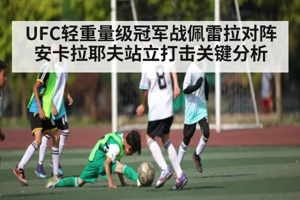 UFC轻重量级冠军战佩雷拉对阵安卡拉耶夫站立打击关键分析